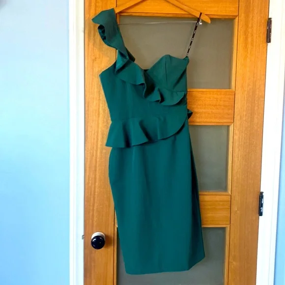Bardot Dresses Bardot Nwt Evergreen Camelia Dress Poshmark